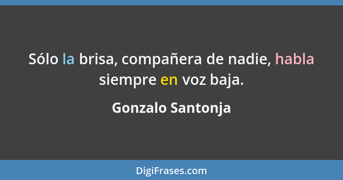 Sólo la brisa, compañera de nadie, habla siempre en voz baja.... - Gonzalo Santonja