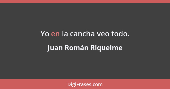 Yo en la cancha veo todo.... - Juan Román Riquelme