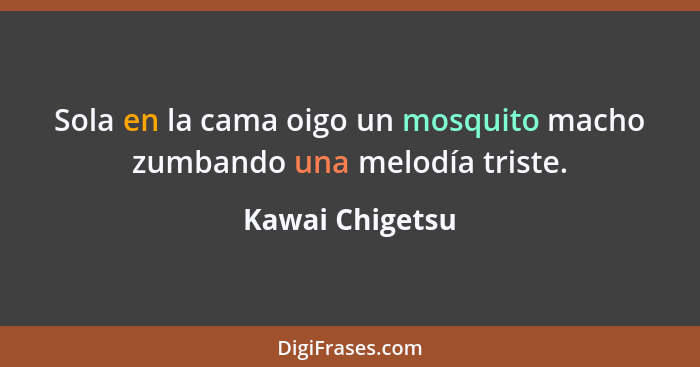 Sola en la cama oigo un mosquito macho zumbando una melodía triste.... - Kawai Chigetsu