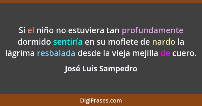 Si el niño no estuviera tan profundamente dormido sentiría en su moflete de nardo la lágrima resbalada desde la vieja mejilla de... - José Luis Sampedro