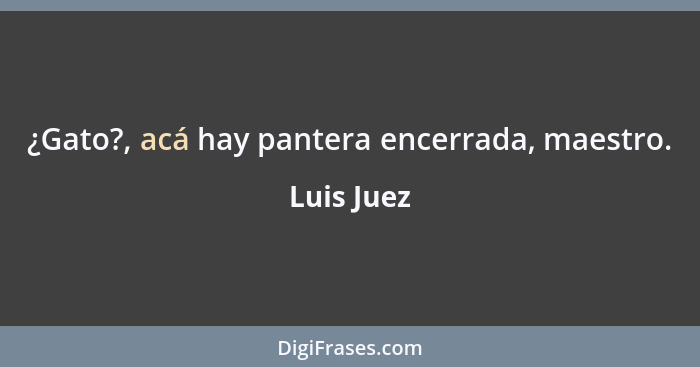 ¿Gato?, acá hay pantera encerrada, maestro.... - Luis Juez