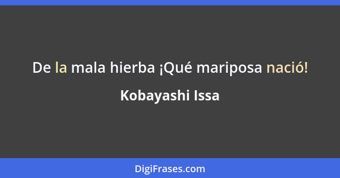 De la mala hierba ¡Qué mariposa nació!... - Kobayashi Issa