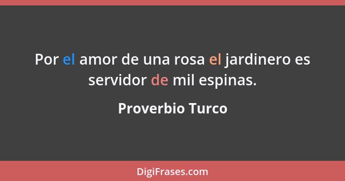 Por el amor de una rosa el jardinero es servidor de mil espinas.... - Proverbio Turco