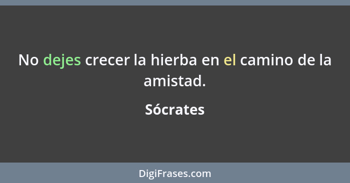 No dejes crecer la hierba en el camino de la amistad.... - Sócrates