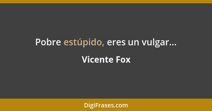 Pobre estúpido, eres un vulgar...... - Vicente Fox
