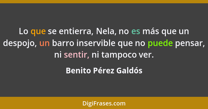 Lo que se entierra, Nela, no es más que un despojo, un barro inservible que no puede pensar, ni sentir, ni tampoco ver.... - Benito Pérez Galdós