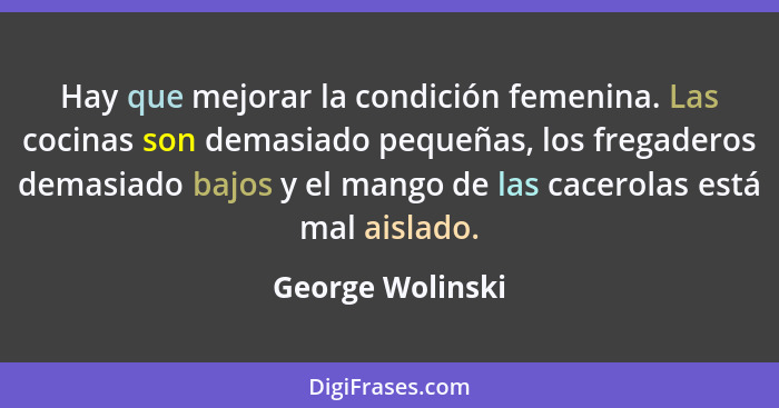 Hay que mejorar la condición femenina. Las cocinas son demasiado pequeñas, los fregaderos demasiado bajos y el mango de las cacerola... - George Wolinski