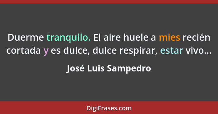 Duerme tranquilo. El aire huele a mies recién cortada y es dulce, dulce respirar, estar vivo...... - José Luis Sampedro