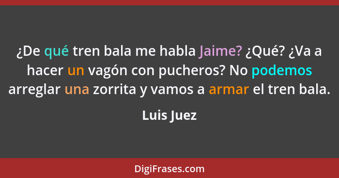 ¿De qué tren bala me habla Jaime? ¿Qué? ¿Va a hacer un vagón con pucheros? No podemos arreglar una zorrita y vamos a armar el tren bala.... - Luis Juez