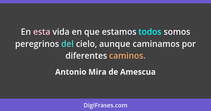 En esta vida en que estamos todos somos peregrinos del cielo, aunque caminamos por diferentes caminos.... - Antonio Mira de Amescua