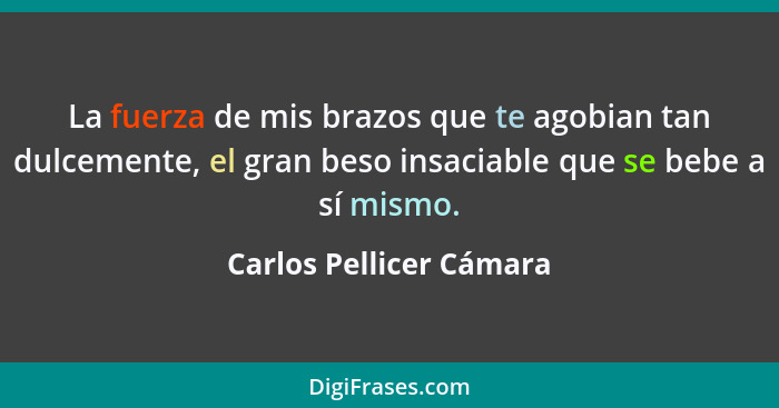 La fuerza de mis brazos que te agobian tan dulcemente, el gran beso insaciable que se bebe a sí mismo.... - Carlos Pellicer Cámara