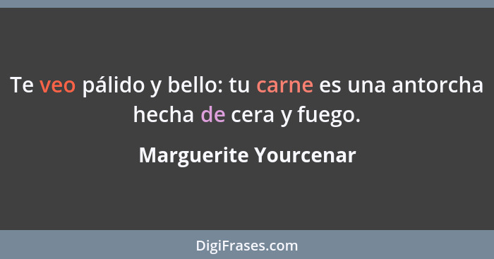 Te veo pálido y bello: tu carne es una antorcha hecha de cera y fuego.... - Marguerite Yourcenar