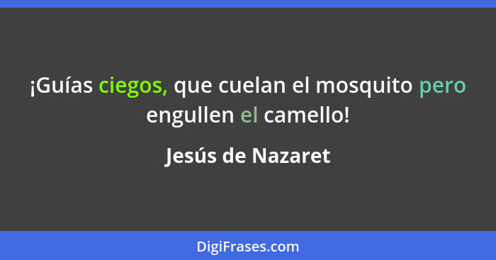¡Guías ciegos, que cuelan el mosquito pero engullen el camello!... - Jesús de Nazaret