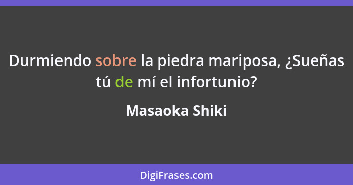 Durmiendo sobre la piedra mariposa, ¿Sueñas tú de mí el infortunio?... - Masaoka Shiki