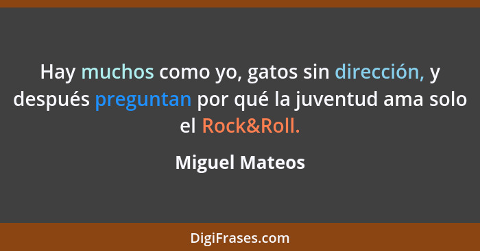 Hay muchos como yo, gatos sin dirección, y después preguntan por qué la juventud ama solo el Rock&Roll.... - Miguel Mateos