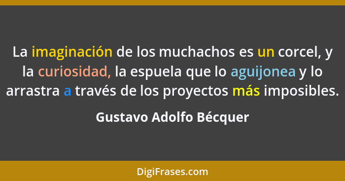 La imaginación de los muchachos es un corcel, y la curiosidad, la espuela que lo aguijonea y lo arrastra a través de los proy... - Gustavo Adolfo Bécquer