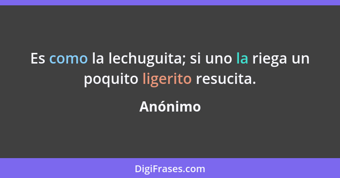 Es como la lechuguita; si uno la riega un poquito ligerito resucita.... - Anónimo