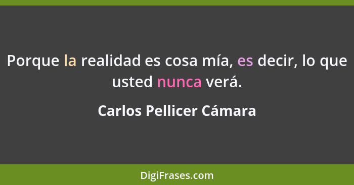 Porque la realidad es cosa mía, es decir, lo que usted nunca verá.... - Carlos Pellicer Cámara