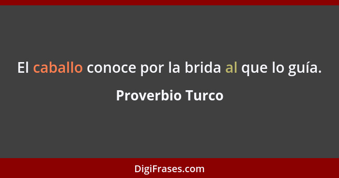 El caballo conoce por la brida al que lo guía.... - Proverbio Turco