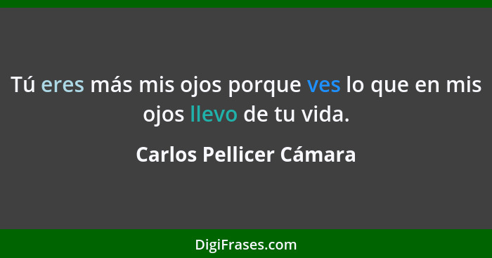 Tú eres más mis ojos porque ves lo que en mis ojos llevo de tu vida.... - Carlos Pellicer Cámara