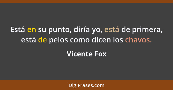 Está en su punto, diría yo, está de primera, está de pelos como dicen los chavos.... - Vicente Fox