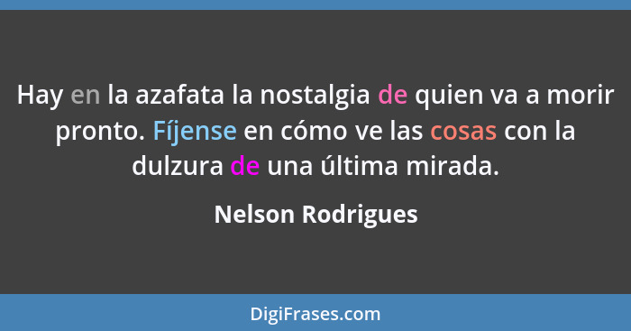 Hay en la azafata la nostalgia de quien va a morir pronto. Fíjense en cómo ve las cosas con la dulzura de una última mirada.... - Nelson Rodrigues