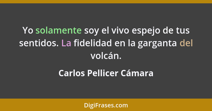 Yo solamente soy el vivo espejo de tus sentidos. La fidelidad en la garganta del volcán.... - Carlos Pellicer Cámara