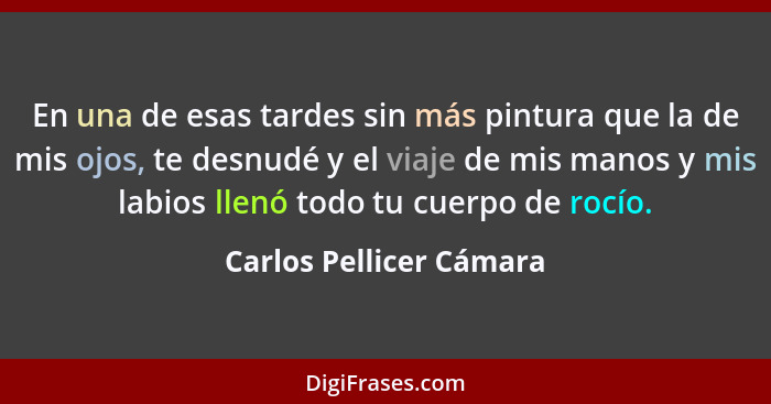 En una de esas tardes sin más pintura que la de mis ojos, te desnudé y el viaje de mis manos y mis labios llenó todo tu cuerp... - Carlos Pellicer Cámara