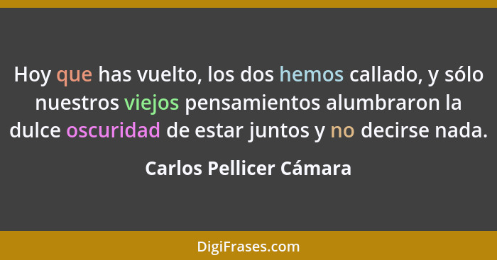 Hoy que has vuelto, los dos hemos callado, y sólo nuestros viejos pensamientos alumbraron la dulce oscuridad de estar juntos... - Carlos Pellicer Cámara