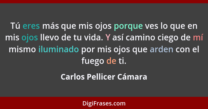 Tú eres más que mis ojos porque ves lo que en mis ojos llevo de tu vida. Y así camino ciego de mí mismo iluminado por mis ojo... - Carlos Pellicer Cámara