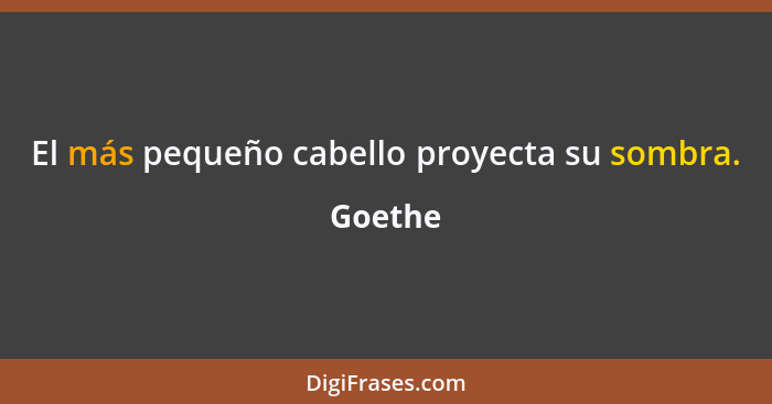 El más pequeño cabello proyecta su sombra.... - Goethe