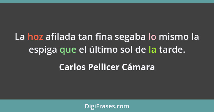 La hoz afilada tan fina segaba lo mismo la espiga que el último sol de la tarde.... - Carlos Pellicer Cámara