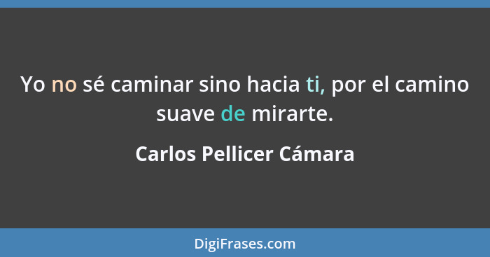 Yo no sé caminar sino hacia ti, por el camino suave de mirarte.... - Carlos Pellicer Cámara