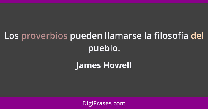 Los proverbios pueden llamarse la filosofía del pueblo.... - James Howell