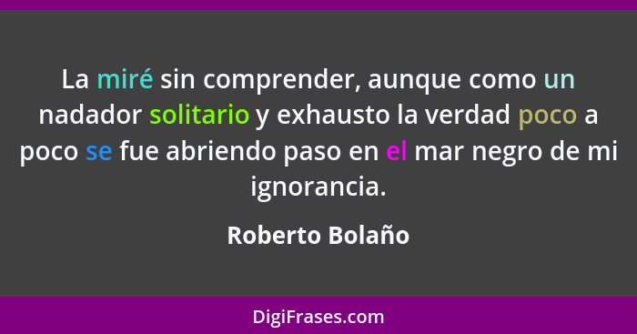 La miré sin comprender, aunque como un nadador solitario y exhausto la verdad poco a poco se fue abriendo paso en el mar negro de mi... - Roberto Bolaño