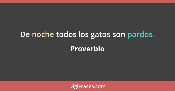 De noche todos los gatos son pardos.... - Proverbio