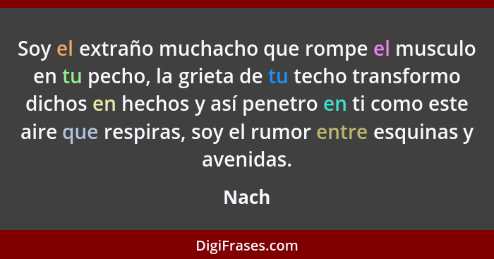 Soy el extraño muchacho que rompe el musculo en tu pecho, la grieta de tu techo transformo dichos en hechos y así penetro en ti como este aire... - Nach