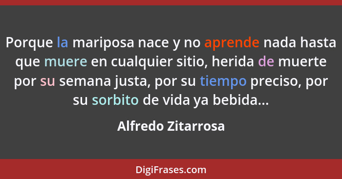 Porque la mariposa nace y no aprende nada hasta que muere en cualquier sitio, herida de muerte por su semana justa, por su tiempo... - Alfredo Zitarrosa