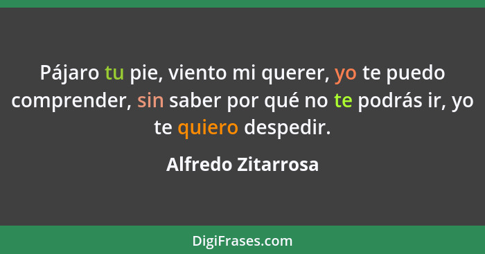 Pájaro tu pie, viento mi querer, yo te puedo comprender, sin saber por qué no te podrás ir, yo te quiero despedir.... - Alfredo Zitarrosa