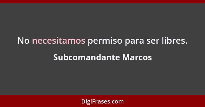 No necesitamos permiso para ser libres.... - Subcomandante Marcos