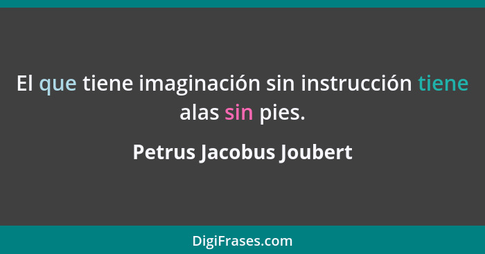El que tiene imaginación sin instrucción tiene alas sin pies.... - Petrus Jacobus Joubert