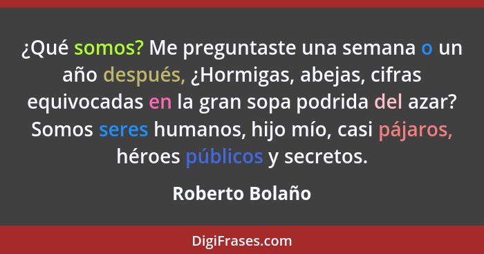 ¿Qué somos? Me preguntaste una semana o un año después, ¿Hormigas, abejas, cifras equivocadas en la gran sopa podrida del azar? Somos... - Roberto Bolaño