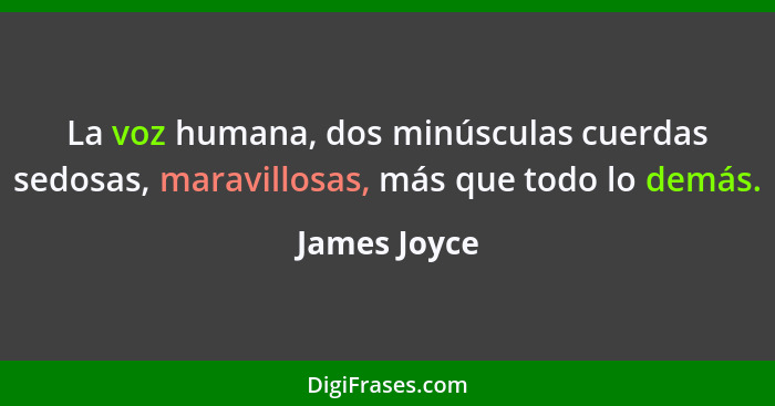 La voz humana, dos minúsculas cuerdas sedosas, maravillosas, más que todo lo demás.... - James Joyce