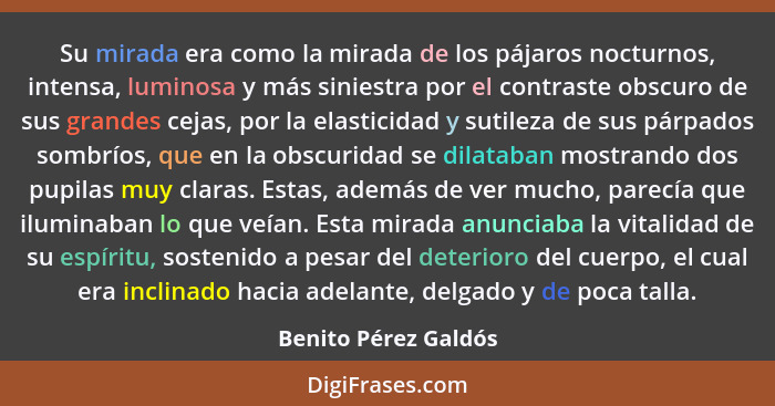 Su mirada era como la mirada de los pájaros nocturnos, intensa, luminosa y más siniestra por el contraste obscuro de sus grandes... - Benito Pérez Galdós