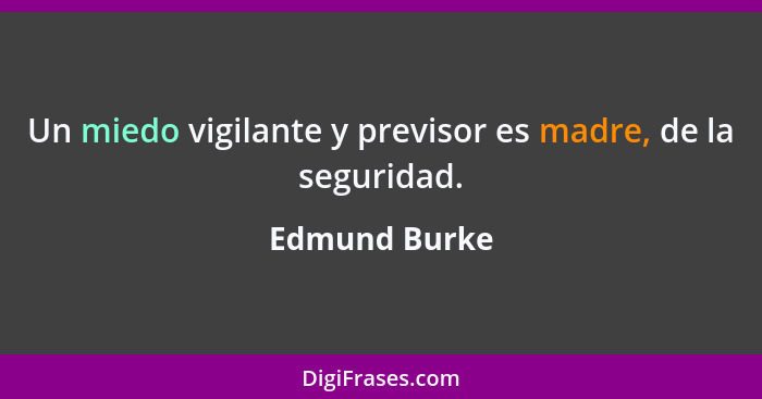 Un miedo vigilante y previsor es madre, de la seguridad.... - Edmund Burke