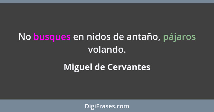 No busques en nidos de antaño, pájaros volando.... - Miguel de Cervantes