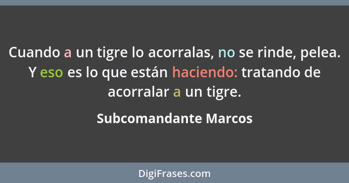 Cuando a un tigre lo acorralas, no se rinde, pelea. Y eso es lo que están haciendo: tratando de acorralar a un tigre.... - Subcomandante Marcos