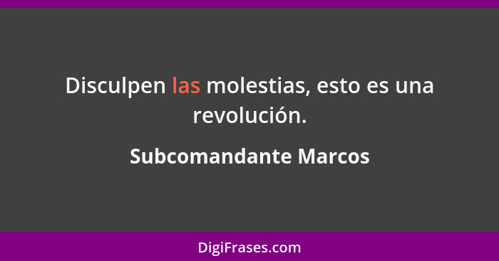 Disculpen las molestias, esto es una revolución.... - Subcomandante Marcos