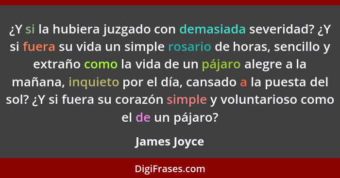 ¿Y si la hubiera juzgado con demasiada severidad? ¿Y si fuera su vida un simple rosario de horas, sencillo y extraño como la vida de un... - James Joyce