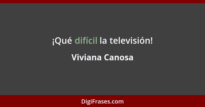 ¡Qué difícil la televisión!... - Viviana Canosa